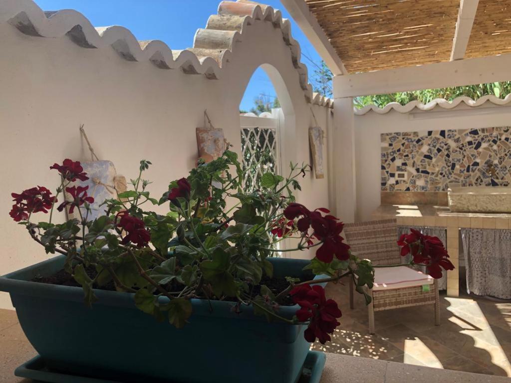 הוילה טראפטו Cala Marina Holidays מראה חיצוני תמונה